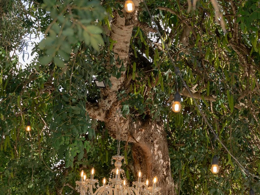 Lynda & Calum Wedding