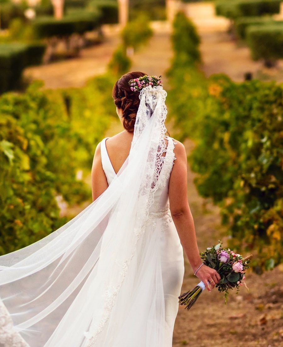 vineyard